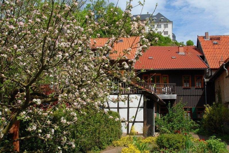 Urlaub-In-Stolberg-Fewo-Eg Διαμέρισμα Stolberg i. Harz Εξωτερικό φωτογραφία